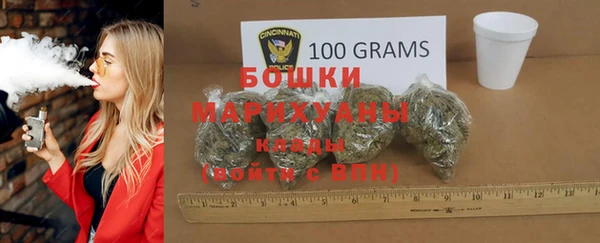 стафф Богданович