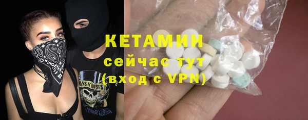 дмт Бородино