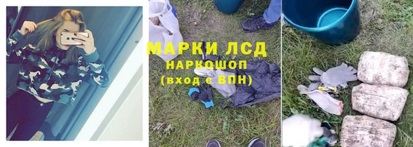 стафф Богданович
