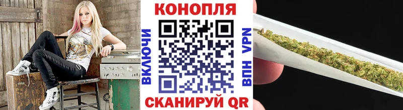 Конопля ГИДРОПОН  Волгореченск 
